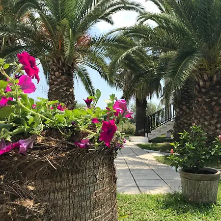 Santa Catalina Lejlighed