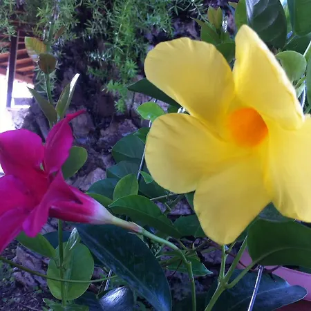 Lejlighed Santa Catalina Kalyves Polygyrou