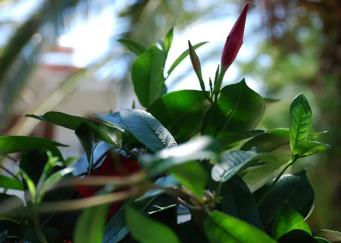 Apartament Santa Catalina