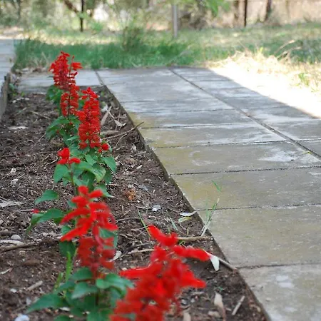 圣卡塔利娜公寓 公寓 Kalyves Polygyrou