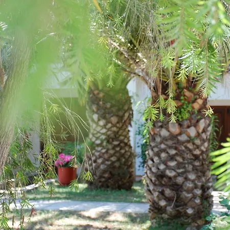 公寓 圣卡塔利娜公寓