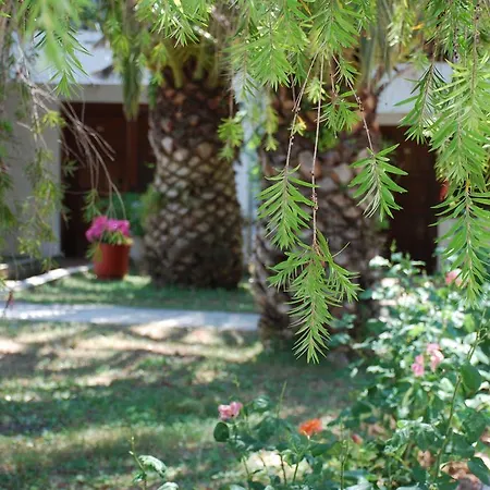 圣卡塔利娜公寓 公寓 Kalyves Polygyrou