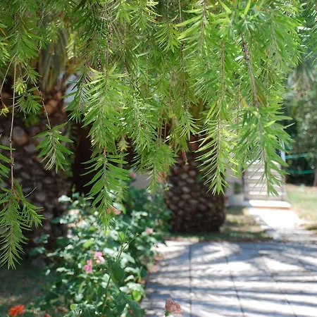 圣卡塔利娜公寓 公寓