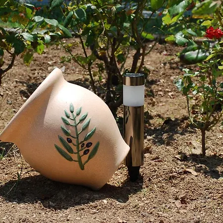 圣卡塔利娜公寓 公寓