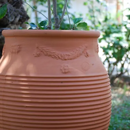 圣卡塔利娜公寓 公寓 *