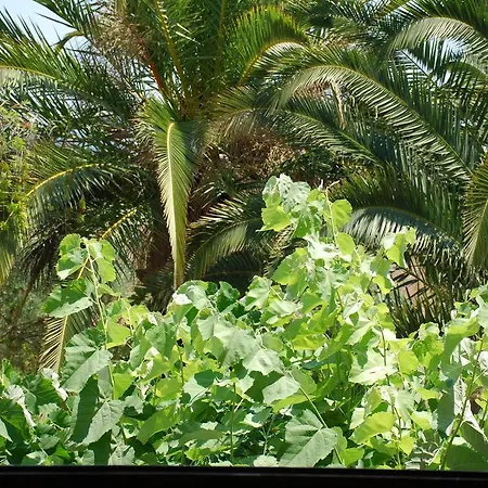 圣卡塔利娜公寓