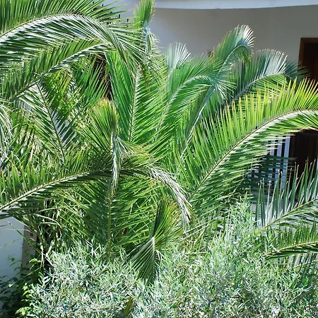 圣卡塔利娜公寓 * Kalyves Polygyrou