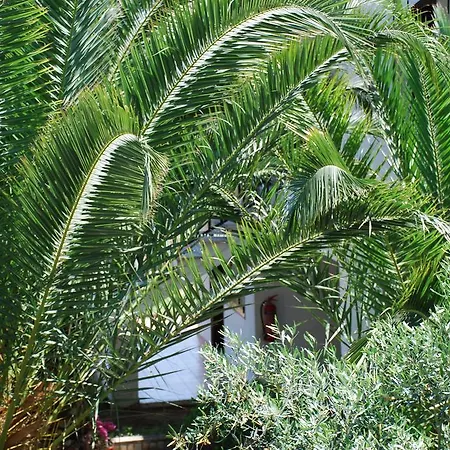 公寓 圣卡塔利娜公寓 *