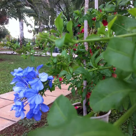 公寓 圣卡塔利娜公寓 Kalyves Polygyrou