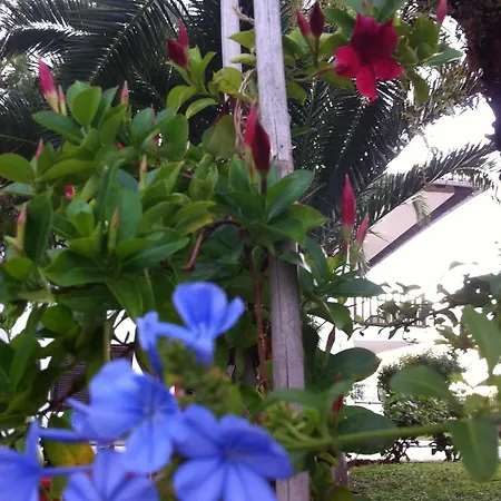 圣卡塔利娜公寓 公寓