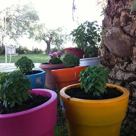 Apartament Santa Catalina